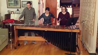 Hoedown from Rodeo by Aaron Copland arranged for marimba [upl. by Loraine]