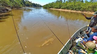 NÃO DA TEMPO DE COLOCAR A VARA NO DESCANSO Pescaria Rio Aquidauana  PANTANAL [upl. by Hsatan]