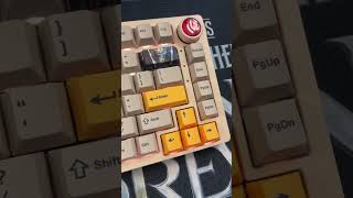 NovelKeys Keycap Collection keycaps customkeyboard [upl. by Retla939]