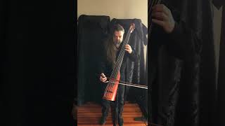 Electric upright bass solo [upl. by Eelatan200]