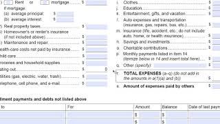 FL150 California Income and Expense Declaration [upl. by Eiluj]