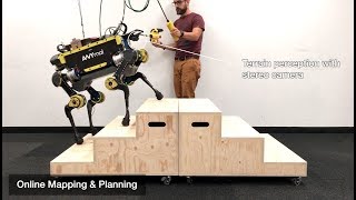 Robust RoughTerrain Locomotion with a Quadrupedal Robot ANYmal [upl. by Crisey]