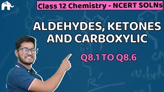 Aldehydes Ketones and Carboxylic Acids Class 12 Chemistry  Revised NCERT Solutions Chapter 8 Q16 [upl. by Oilut]