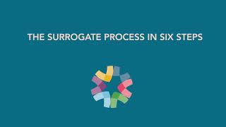 The Surrogate Process Six Steps To Become a Surrogate with ConceiveAbilities Surrogacy Agency [upl. by Ttehc184]