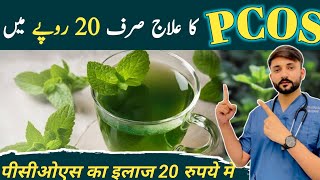 PCOS ka QudartiNatural Ilaaj Pcos kesy thk kren khatm krenपीसीओएस का ज़बरदस्त। इलाजSpearmint [upl. by Avah678]