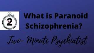 What is Paranoid Schizophrenia  in under 2 Minutes [upl. by Troyes]