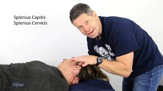 How To Massage  Splenius Capitis and Splenius Cervicis Muscles [upl. by Bessie337]