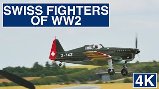 MoraneSaulnier D3801 MS406 J143 🇨🇭 Swiss Fighter Second World War [upl. by Dominus]