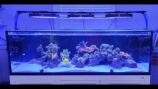 Innovative Marine NUVO 200 EXT Build  12 months [upl. by Ynahteb186]