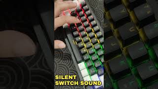 Silent Switch Sound shorts [upl. by Atikcir]