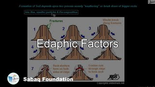 Edaphic Factors Biology Lecture  Sabaqpk [upl. by Yuu]