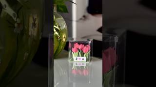 Ith kollaam 😌🫶🏻 trending diy yas craft gift aesthetic viralvideo shorts tulips paper [upl. by Vergne18]