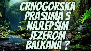 Crnogorska Prašuma sa najlepšim jezerom Balkana [upl. by Ayote]