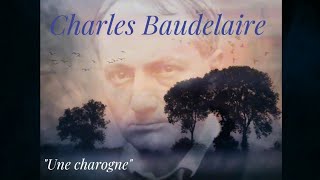 Poésie  Charles Baudelaire « Une charogne » [upl. by Simetra]