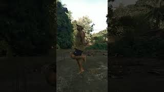 Morning Skipping Workout For Beginners video workout fitnessexercise allroundersarat [upl. by Pedrick]