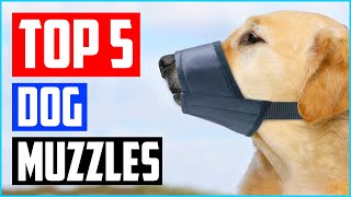 Best Dog Muzzles to Prevent Biting of 2023 Review  Top 5 Picks [upl. by Baynebridge]