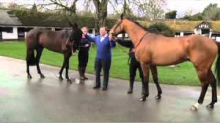 Gold Cup 2011 preview 12 Imperial Commander Long Run Kauto Star or Denman [upl. by Berrie579]