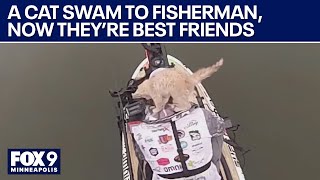 Fisherman catches cat while fishing they become best friends [upl. by Crosley168]