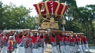 平成24年 淡路市 育波八幡神社秋祭り 宮入 [upl. by Ellesor]