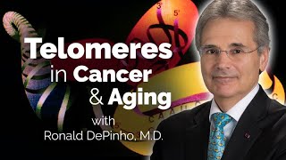 Telomeres in Cancer and Aging with Ronald DePinho  Sanford Stem Cell Symposium 2023 [upl. by Aramoj215]