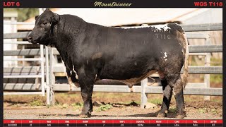 LOT 6 WATTLE GROVE MOUNTAINEER T118 [upl. by Stephenson113]