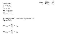 Intertemporal Choice Utility Maximization Over Two Time Periods [upl. by Devaney380]