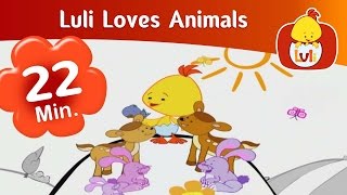 Luli Loves Animals  Luli TV Specials  Cartoon for Children  Luli TV [upl. by Ecineg164]