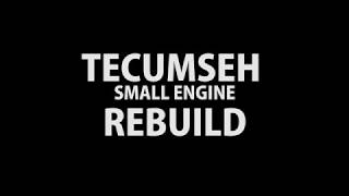 TECUMSEH SMALL ENGINE REBUILD [upl. by Dahl]