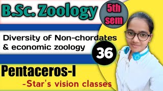 Pentacerosldiversity of Nonchordates amp economic zoologybsc 5th sem zoologyStar fishL36 [upl. by Ahsiken]