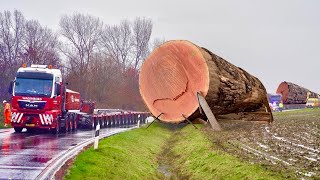 Dangerous Fastest Logging Dump Truck Work Fails Transport Extreme Skill Wood Machines Operator [upl. by Nilrah]