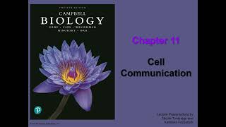 General Biology College  Chapter 11  Cell Communication [upl. by Len360]