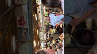 Aug 24 Sandusky County Fair Conner Miller chicken auction [upl. by Anialed29]