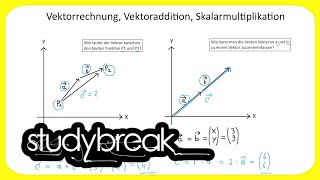 Vektorrechnung Vektoraddition Skalarmultiplikation  Wirtschaftsmathematik [upl. by Aibun]