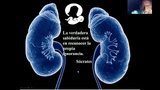 ULTRASONOGRAFÍA RENAL EN LA MUJER EMBARAZADA DHC ALBERTO SOSA OLAVARRÍA VENEZUELA [upl. by Balliett]