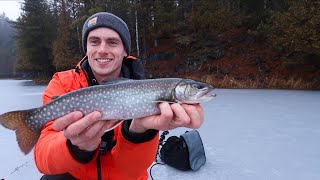 Ice Fishing on SECRET Backcountry Lakes for Splake [upl. by Phineas]