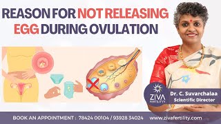 Ovulation Problems  Anovulation  Fertility Tips  Dr C Suvarchalaa  ZIVA Fertilityy [upl. by Vivl271]