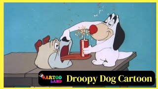 Droopy Dog Cartoon  Full Episodes  By Cartooland cartoon funny [upl. by Notsehc]