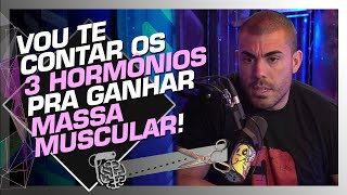 A GRANDE COMPLEXIDADE DOS HORMÔNIOS  LEANDRO TWIN [upl. by Janaya198]