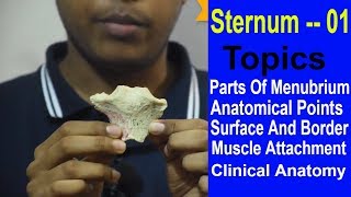 Sternum Demonstration Manubrium  Made Easy  Bangla  Square DOC [upl. by Darby]