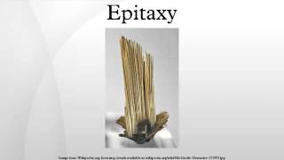 Epitaxy [upl. by Enillebyam]