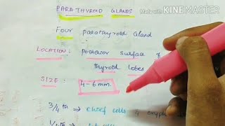 Parathyroid gland  Pathology  Handwritten notes [upl. by Aikel426]