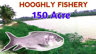 HOOGHLY FISHERY  HOOGHLY FISH PROJECT  WEST BENGAL FISH PROJECT [upl. by Gem168]