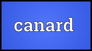 Canard Meaning [upl. by Anitsrik150]