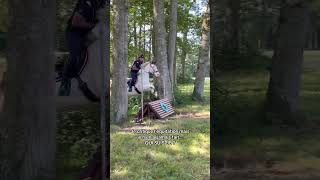 Les personnes qui critiquent l’équitation… cheval equitation sport cavalier chevaux horse [upl. by Akisej]