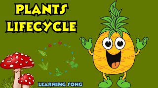 quot🌱 Fun and Educational Plant Lifecycle Song for Kids 🎶 [upl. by Ahsed264]