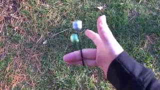 Begleri tutorial two finger rolls [upl. by Llennoj45]