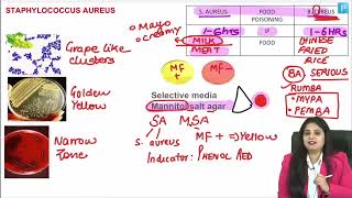 Microbiology LRR  Dr Preeti Maam  INICETFMGE NEETPG [upl. by Oyr]