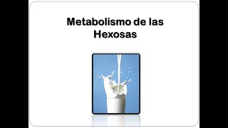 Metabolismo de las hexosas [upl. by Asenav]