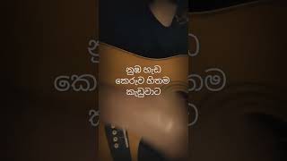 නුඹ හැඩකෙරුව හිතම කැඩුවාට  Nuba Hada Keruwa Hithama  Acoustic Cover [upl. by Onivag344]