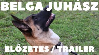 Belga Juhászkutya Malinois  Előzetes  Trailer DogCast TV [upl. by Notsrik]